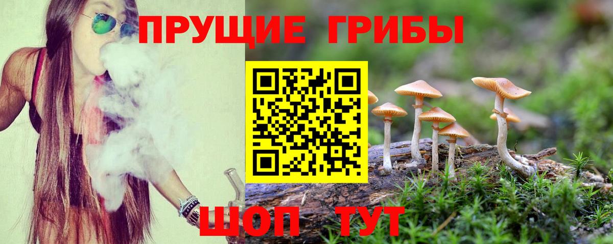 Псилоцибиновые грибы ЛСД Реутов